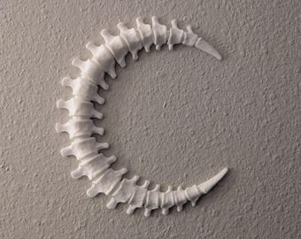 Bone Moon Wall Sculpture, Gothic Moon Spine Home Decor, Fantasy Art Statue
