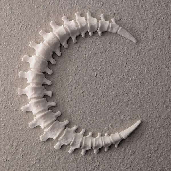Bone Moon Wall Sculpture, Gothic Moon Spine Home Decor, Fantasy Art Statue