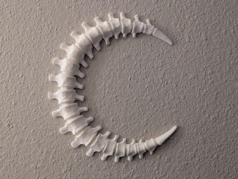 Bone Moo Background Bone Moon Wall Sculpture, Gothic Moon Spine Home Decor, Fantasy Art ...