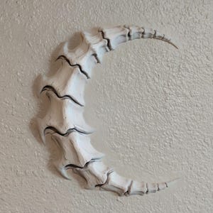May include: A crescent-shaped wall hanging in a bone-white color. The sculpture has a textured, organic design with dark gray accents, resembling a stylized bone structure. The artwork is mounted on a textured, light-colored wall.