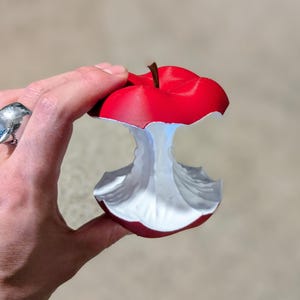 May include: A red apple core with a brown stem, held in a hand. The inside of the apple is white. A silver bird ring is on the hand.