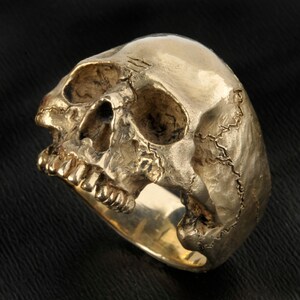 May include: A gold skull ring with detailed features, including teeth and a textured surface.