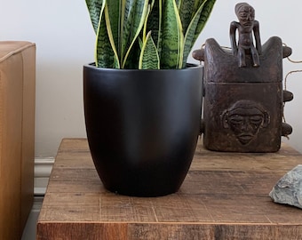 May include: A potted snake plant with green and yellow striped leaves in a black ceramic pot on a wooden coffee table. The plant is in a living room setting with a brown leather sofa and a wall-mounted brass lamp.