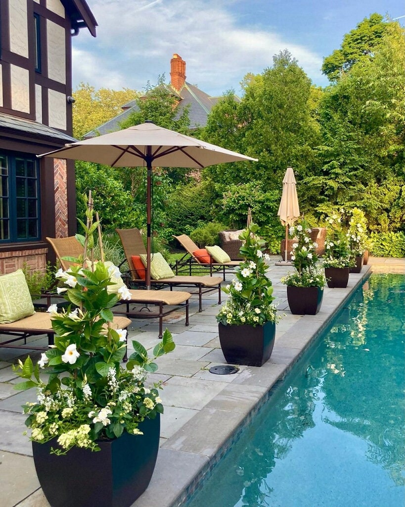 Jardinera moderna curva cuadrada Pacifica - Negra. Fabricada con fibra de  vidrio colocada a mano. Ideal para interiores y exteriores. Disponible en  varios tamaños. - Etsy México, image size:819x1024