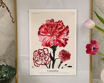 The Language of Flowers Carnations Giclée Print