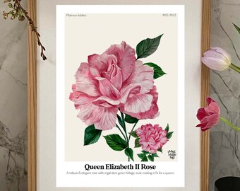 The Language of Flowers Queen Elizabeth Rose Giclée Print