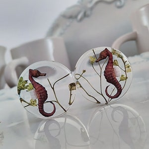 Seahorse Ear Plugs/ Gauges For Stretched Ears. Double Flared. 1 pair.