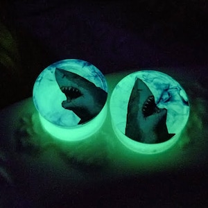 Shark hotsell ear gauges