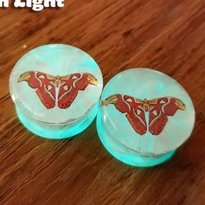 Glow in the Dark/ Day Orange Moth Ear Plugs, Gauges For Stretched Ears. Double Flared. 1 pair.
