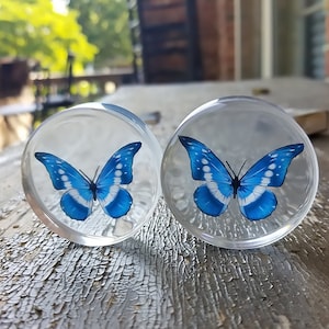 Clear Blue Butterfly Ear Plugs/ Gauges For Stretched Ears. Double Flared. 1 pair.