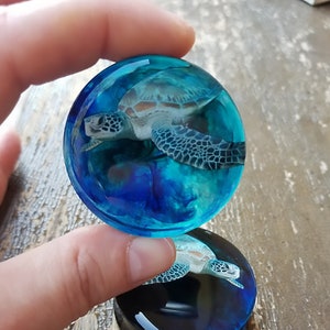 Puede incluir: Dos adornos redondos de resina azul con una imagen de tortuga marina en su interior. El adorno superior es de un tono de azul más claro con una tortuga blanca, mientras que el adorno inferior es de un tono de azul más oscuro con una tortuga blanca.