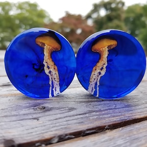 Jellyfish gauges cheap