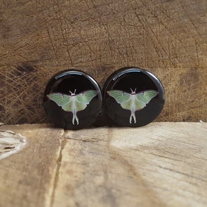May include: Pair of black round earrings with a green luna moth design.