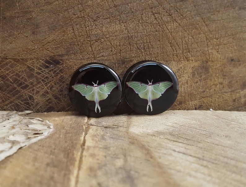 May include: Pair of black round earrings with a green luna moth design.