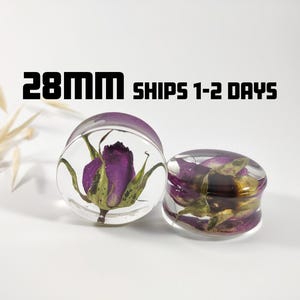 Puede incluir: Dos medidores de oreja de acrílico transparente con flores secas moradas y verdes encapsuladas en el acrílico. Los medidores tienen un diámetro de 28 mm.