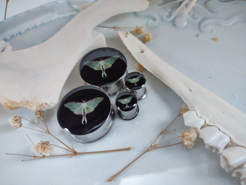 May include: Three silver ear gauges with a black background and a green luna moth design. The gauges are different sizes.