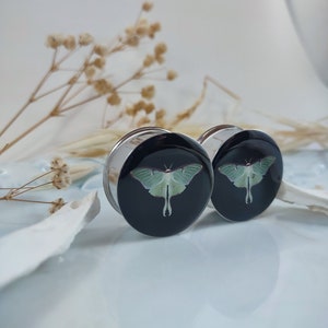 May include: Pair of black and silver ear gauges with a green luna moth design.