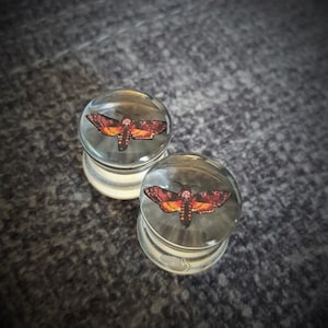Red Death&#39;s Head Moth Ear Plugs/ Gauges For Stretched Ears. Double Flared. 1 pair.