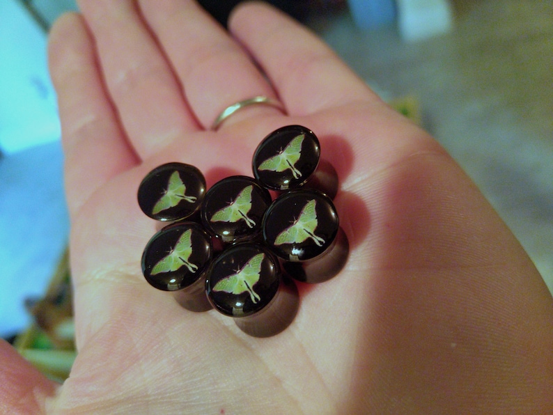 May include: A set of six black and green ear gauges with a moth design.