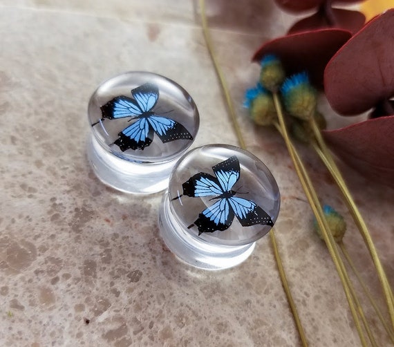 Clear Blue/ Black Butterfly Ear Plugs, Gauges For Stretched Ears. Double Flared. 1 pair.