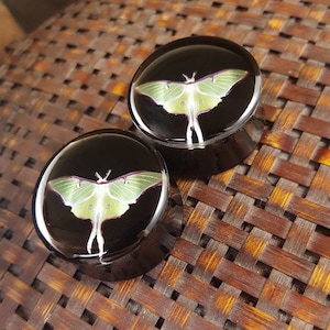 May include: Pair of black and green round ear gauges with a green luna moth design. The gauges are on a woven brown surface.