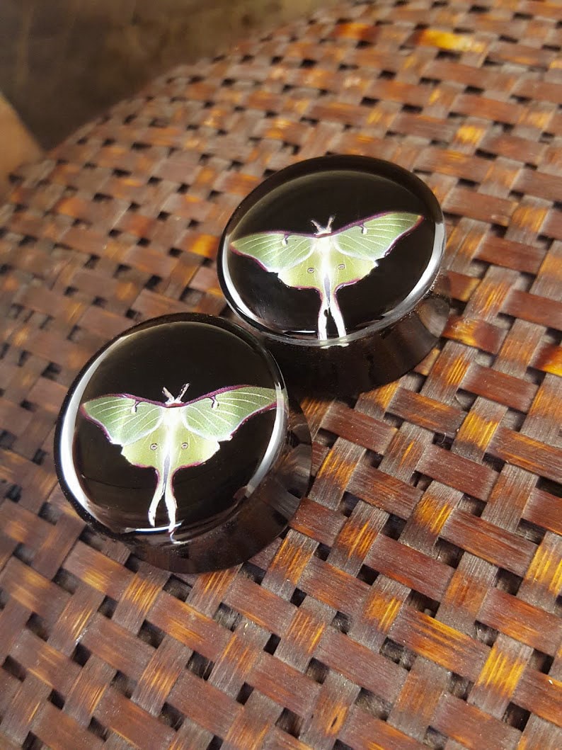 May include: Pair of black and green round ear gauges with a green luna moth design. The gauges are on a woven brown surface.