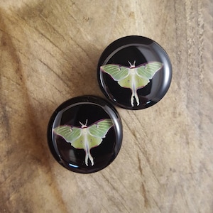 Luna Moth Ear Plugs/ Gauges For Stretched Ears. Double Flared. 1 pair. (Moth is a 2-D Print).