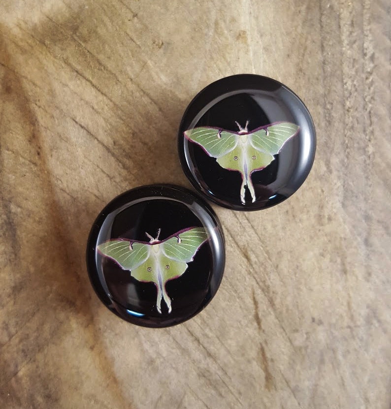 May include: Pair of black glass ear gauges with a green luna moth design.