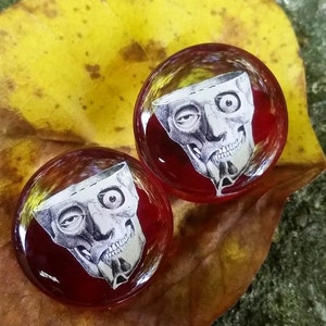 Head Anatomy Plugs/ Gauges. Double Flared.