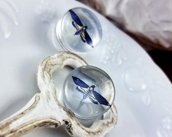 Clear Blue Death's-head Hawkmoth Ear Plugs/ Gauges for Stretched Ears. Handmade Plugs.