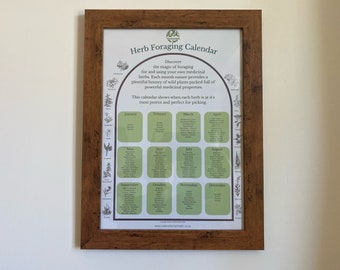 Herb Foraging Calendar - Digital A3 poster