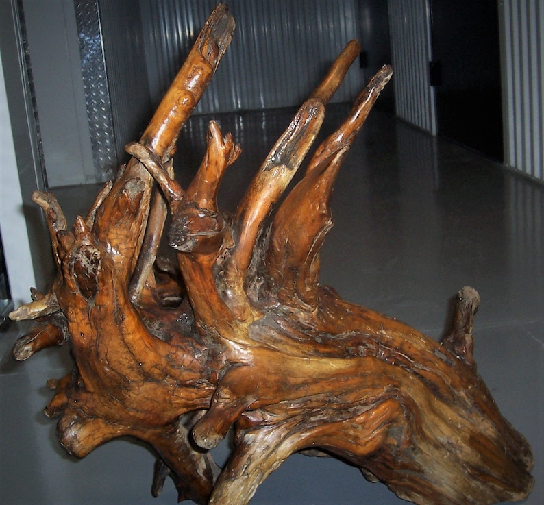 Tree Root Wooden Sculpture Etsy