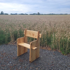 Medieval Viking chair, throne