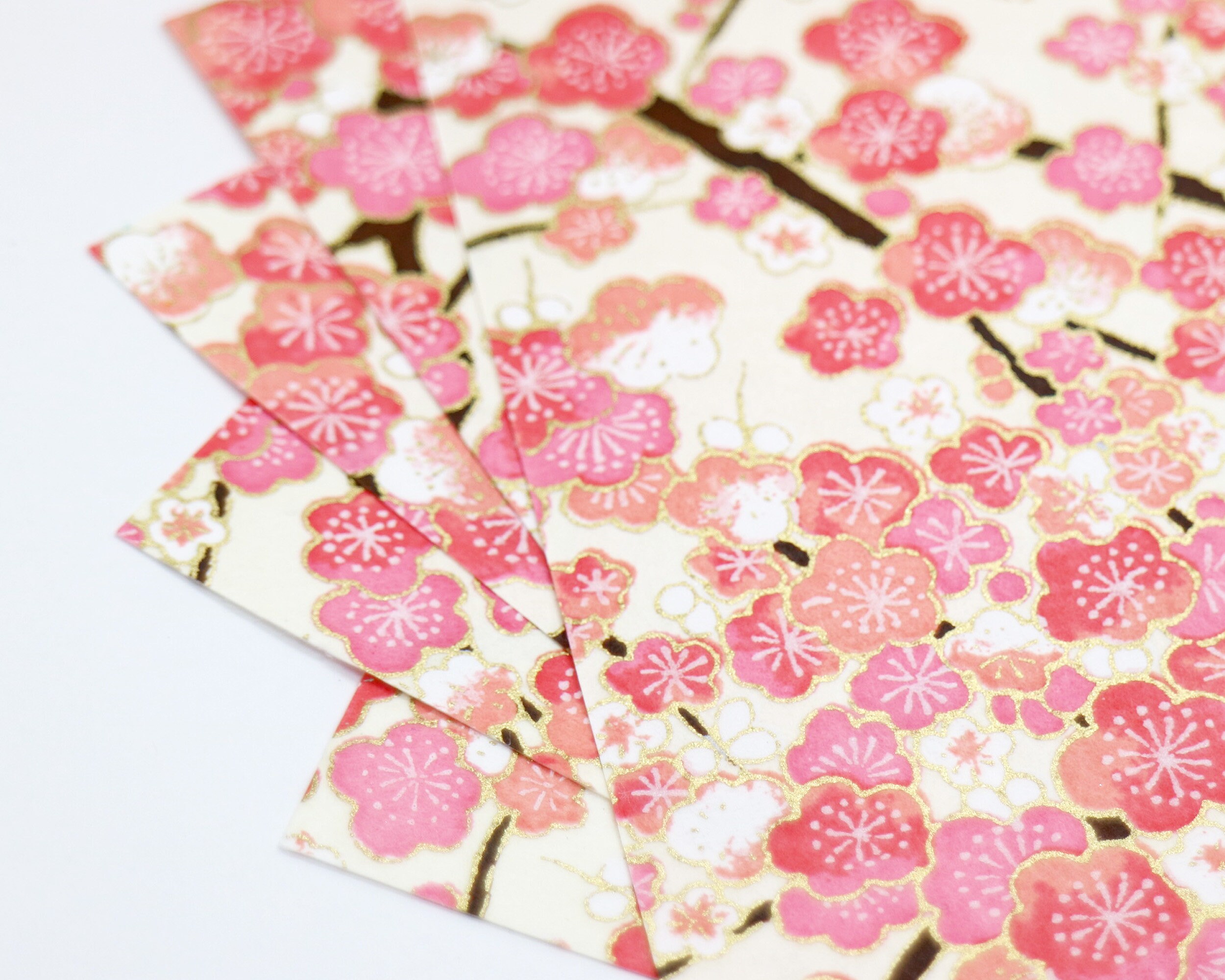 桜庭和志サイン色紙未開封RIZINPRIDEUFCHERO'S SAKURABA On my days off I start dreaming at noon