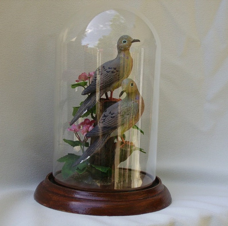 Mourning Doves handpainted sculpture in 8 inch crystal dome Etsy