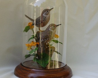 House Wren hand-painted sculpture in 8" crystal dome