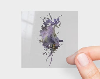 Hummingbird Medicine