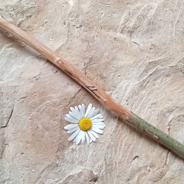 Ash wand, Magic Wand, Ansuz rune symbol, Witches wand, tool for wiccans, Wizard  staff, Wiccan wand, Pagan wand