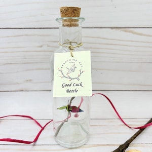 Good Luck Bottle with Origami cranes and branch, gift