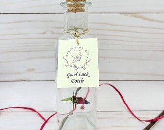 Good Luck Bottle with Origami cranes and branch, gift