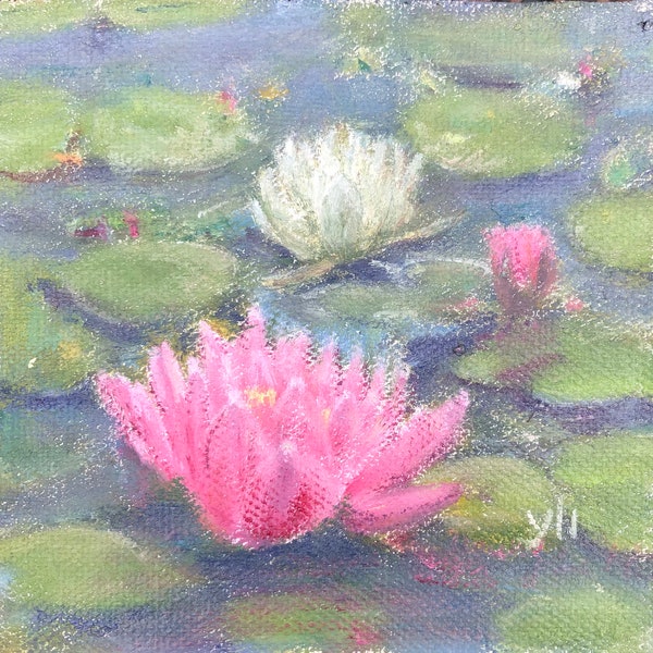 Waterlilies in a Bright Morning