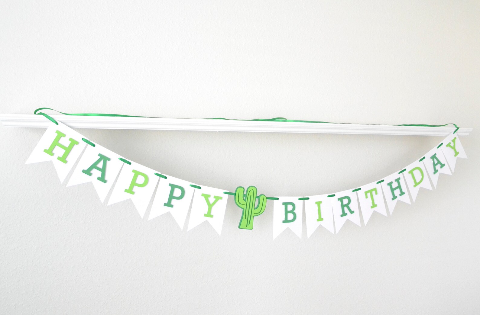 Cactus Birthday Decorations Fiesta Birthday Banner Cactus | Etsy