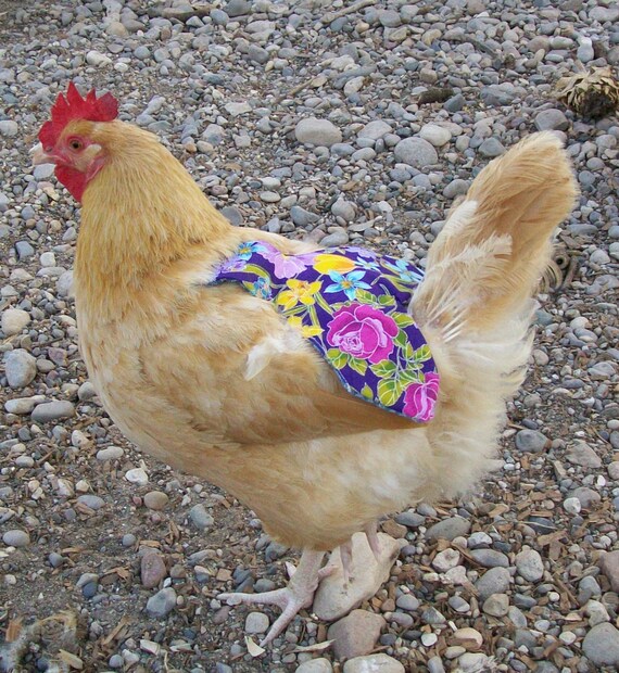 6 Chicken Saddle Apron Hen Jacket BACK FEATHER PROTECTION BACKYARD POULTRY
