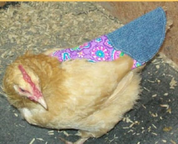 3 SUPER WIDE /& LONG COVERAGE Chicken Saddle Apron Hen LARGE XL BACKYARD POULTRY