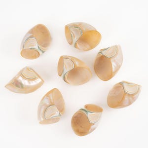 Vintage Seashell Napkin Rings Set of 8 - Natural Coastal Table Decor 1980s