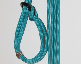 Turquoise Bearded Dragon Small Animal Harness/Leash