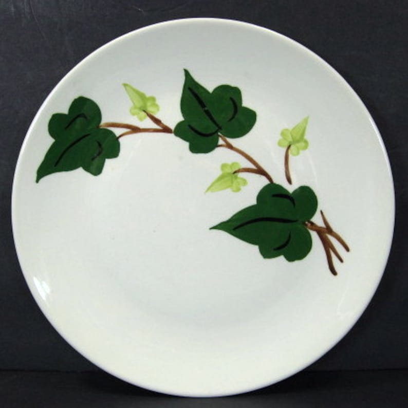 Blue Ridge Southern Pottery Baltic Ivy Dinner Plate 9.5in