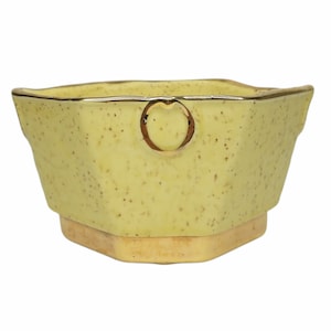 May include: A yellow octagonal ceramic planter with a gold rim and a gold ring detail. The planter has a speckled texture.