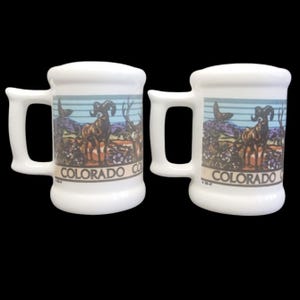 Colorado Handle Souvenir Salt Pepper Shakers