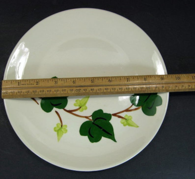 Blue Ridge Southern Pottery Baltic Ivy Dinner Plate 9.5in